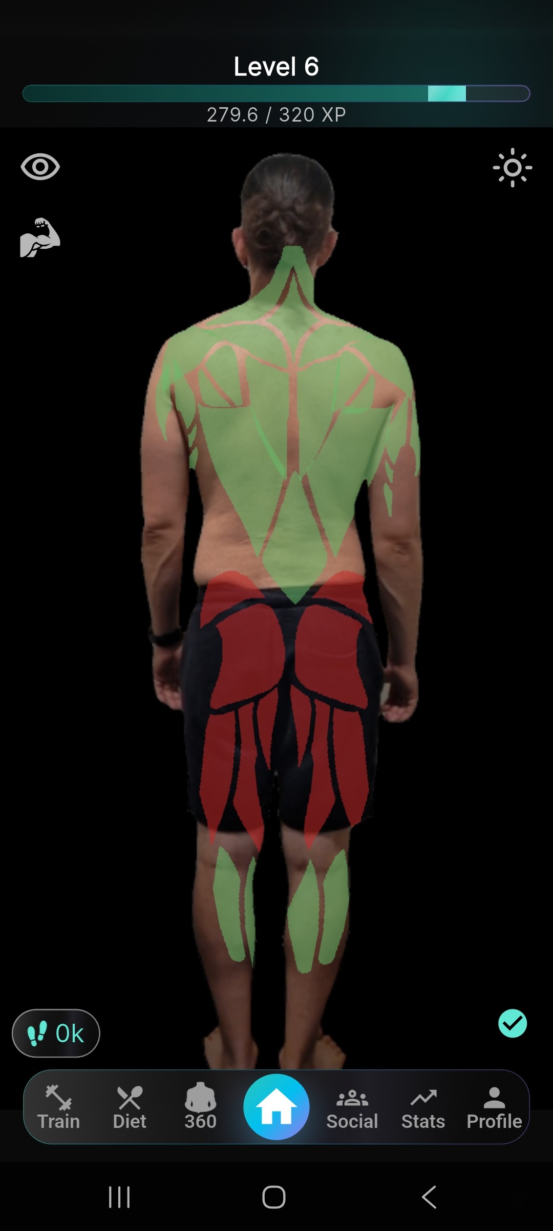 Back muscle recovery
